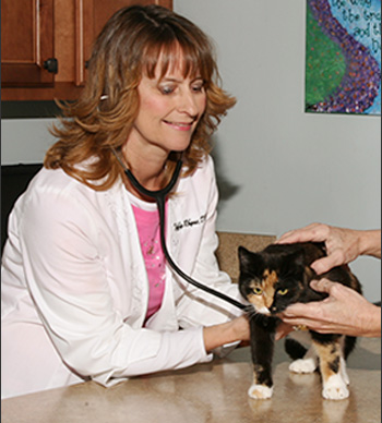 All Pets and Paws Animal Hospital provides veterinary care to the West Georgia community including Carrollton, Villa Rica, Bowdon, Bremen and East Alabama. Services include surgery, internal medicine, dermatology, radiology, vaccines, dental care and pain control.